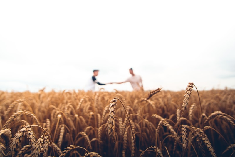 Smallholder farmer working in rural agricultural field